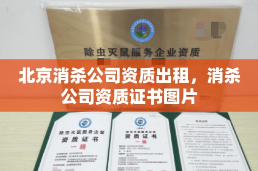 北京消杀公司资质出租，消杀公司资质证书图片