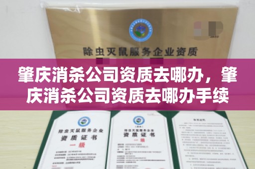 肇庆消杀公司资质去哪办，肇庆消杀公司资质去哪办手续