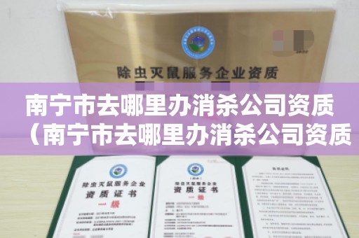 南宁市去哪里办消杀公司资质（南宁市去哪里办消杀公司资质）