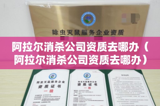 阿拉尔消杀公司资质去哪办（阿拉尔消杀公司资质去哪办）